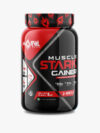 Muscle Stark Gainer 1kg, 2.2lbs
